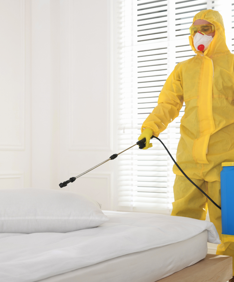 Professional Pest Control Team in Evandale
